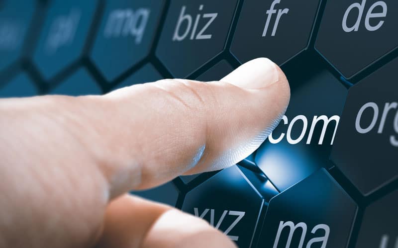 domain and hosting, importance of security