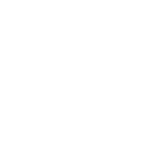 SEO Strategy